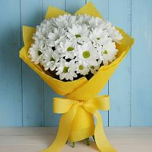 Букет цветов из:  Хризантемы в Опочке