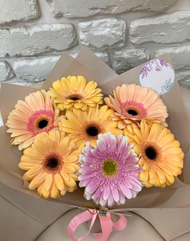 Букет цветов из: Герберы в Опочке