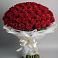 Букет 101 Красная роза Блэк Мэджик в Опочке
