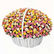 Премиум букет из: Розы в Опочке