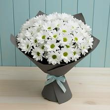 Букет цветов из:  Хризантемы в Опочке