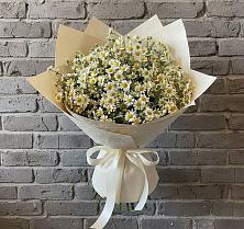 Букет цветов из:  Ромашки #REPLACE_PRED# Опочке