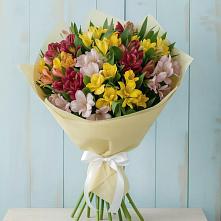 Букет цветов из:  Альстромерии в Опочке