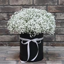 Цветочная композиция из Гипсофила в шляпной коробке в Опочке