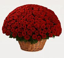 Премиум букет из: Розы #REPLACE_PRED# Опочке