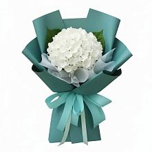 Букет цветов из:  Гортензия в Опочке